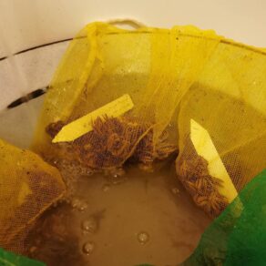 namáčanie hľúz | soaking the corms