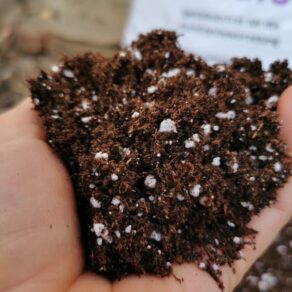 substrát na nakličovanie | presprouting medium