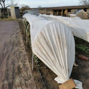 zimná ochrana záhonov | low tunnel