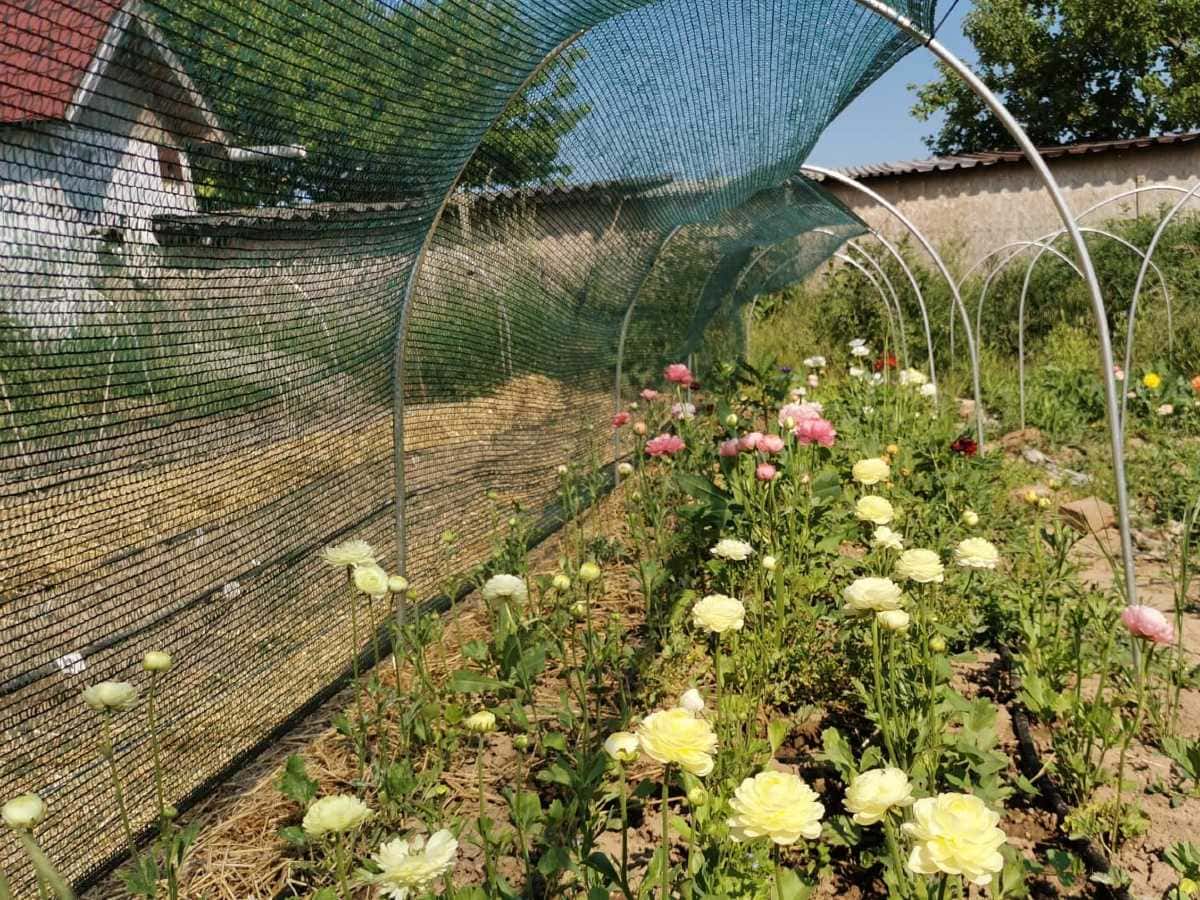 tienenie záhonov | shading of beds